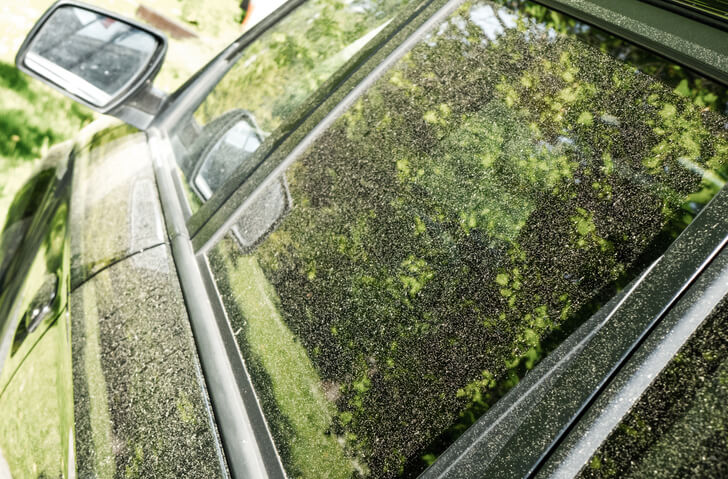 dirty car covered in tree pollen